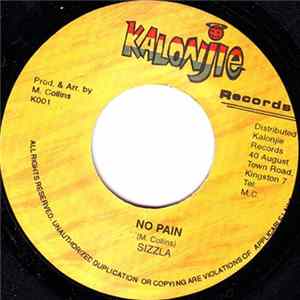 Sizzla - No Pain mp3